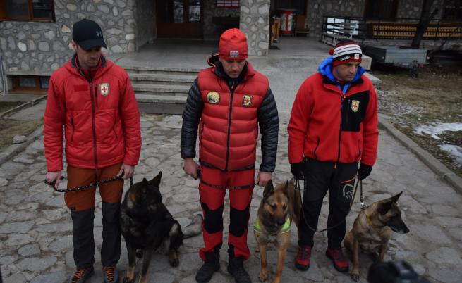 На снимката от ляво надясно: Спасителите Атанас Уков, Любчо Джолев и Благой Максимов със спасителните кучета Норд, Нико и Хера