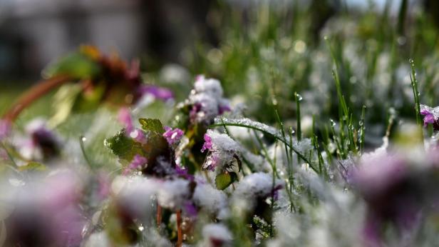 Дъжд и сняг за Първа пролет