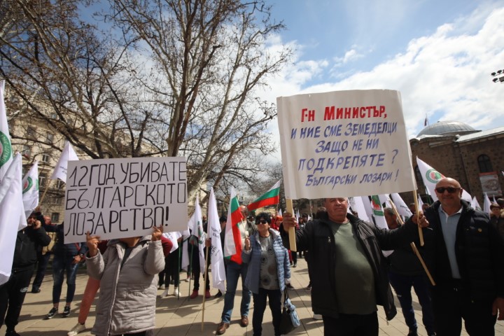 <p>Лозарите на протест, искат работещи мерки за сектора</p>