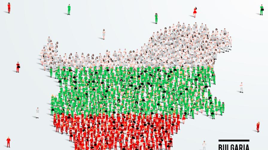Демография на вота: Как гласуваха българите?