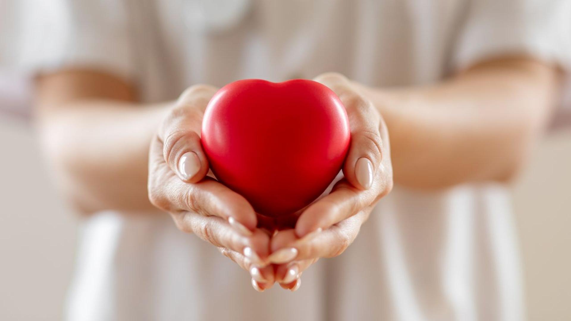 Само за няколко часа над 120 души са дарили кръв