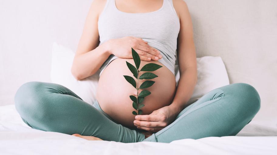 Лотусово раждане: Когато бебето остане свързано с плацентата до 15 дни (СНИМКИ)