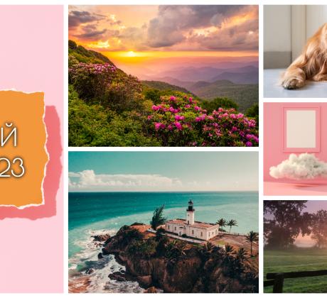 Знаем колко е важно да сядаме пред компютъра с желание