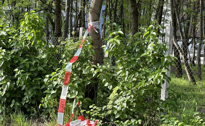 Свидетел на катастрофата в София: Шофьорът не беше адекватен