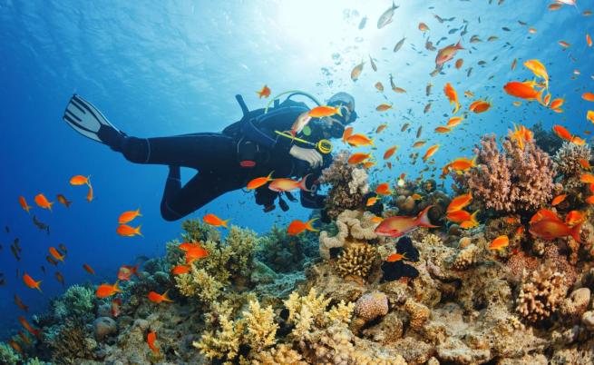 100 дни живот под водата: Мъж иска да открие невероятни неща за човешкото тяло