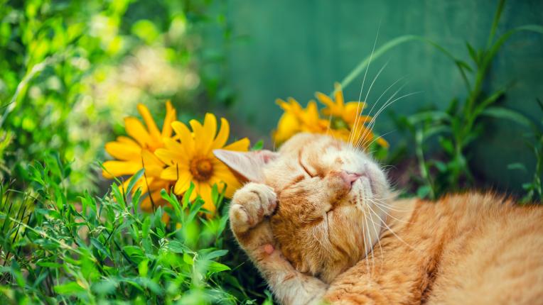  Дневен хороскоп за събота, 27 май 