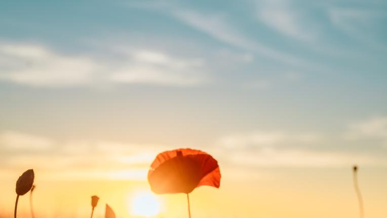  Седмичен хороскоп за 5-11 юни 