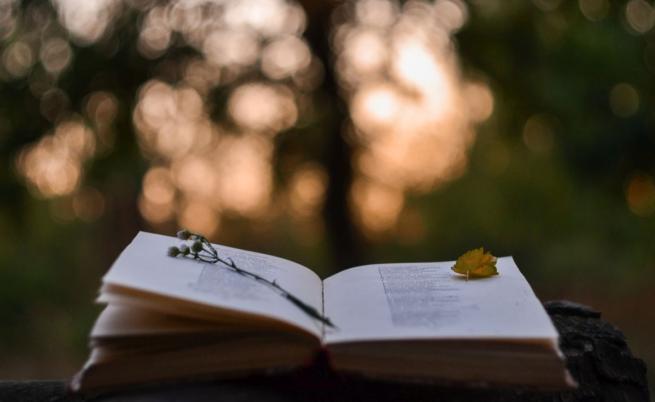 Личности: Нежната поезия на Емили Дикенсън и какво се крие зад нея?