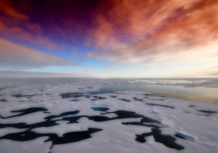 Първият септември без морски лед ще настъпи още през 2030-2050 г.