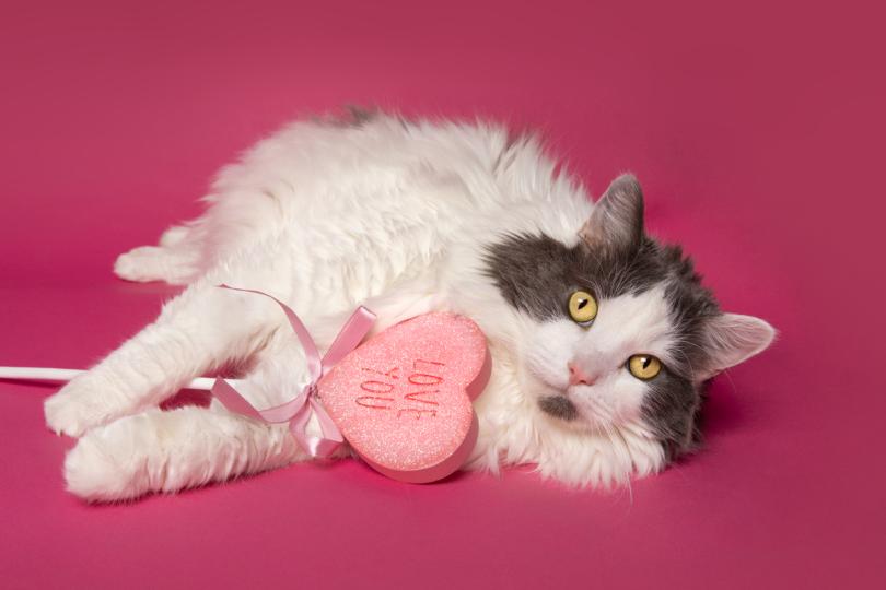 Седмичен хороскоп за 12-18 юни - снимка 12