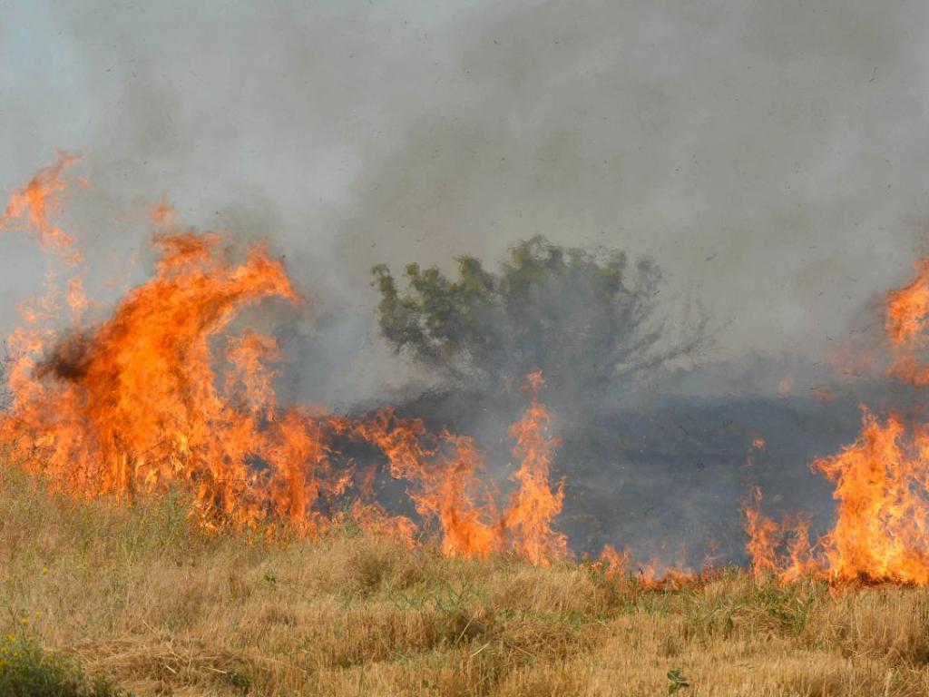 Пожар избухна днес преди обяд в района на село Клокотница