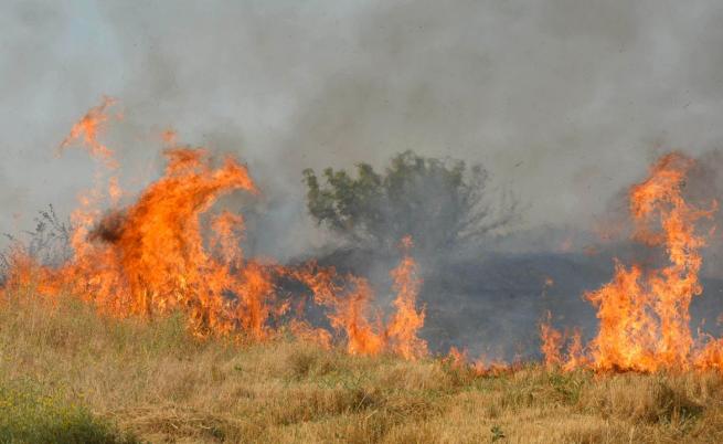 Огромен пожар избухна край Хасково (ВИДЕО)