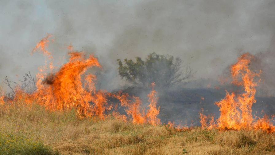 Над 1000 декара е обхванал пожарът край село Шишманово