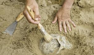 Снимката е илюстративна