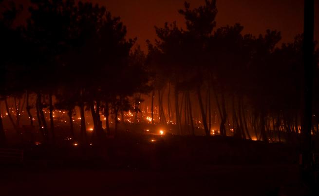 Български пожарникари ще помагат за потушаването на огъня в Гърция