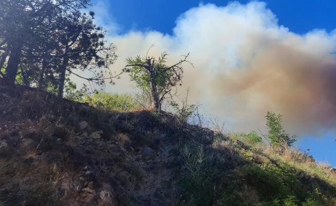 Продължава борбата с големия пожар в Родопите (СНИМКИ)