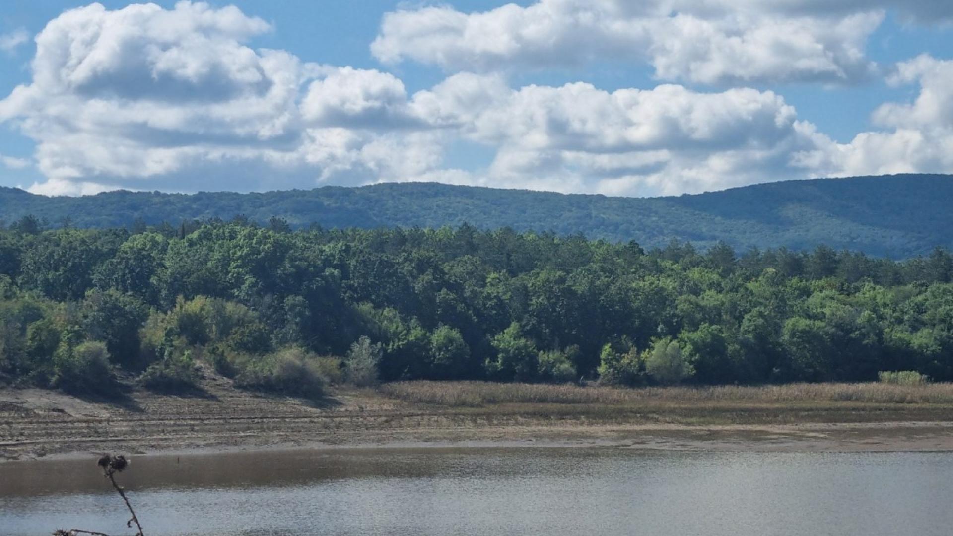 Нов сигнал за появата на черния леопард който вече седмица