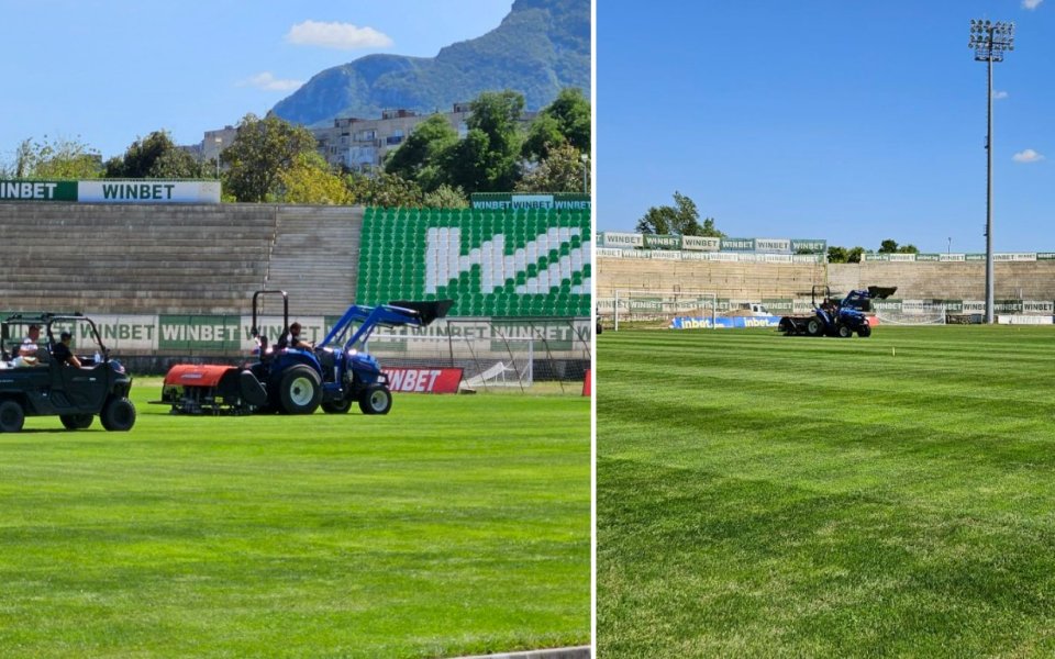 От Ботев Враца стартираха дейности за  поддръжка на тревата на