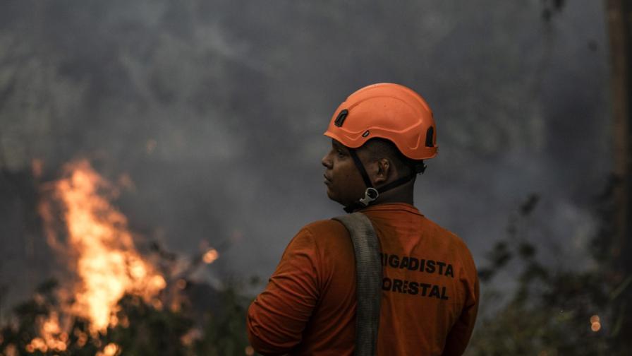 Пелена от сив дим, отровен въздух: Амазония е погълната от горски пожари (СНИМКИ)