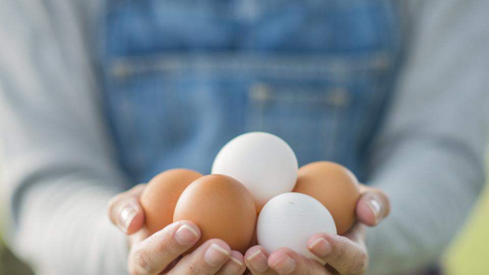Диетата с варени яйца и МИНУС 11 кг за 2 седмици. Опасна ли е?