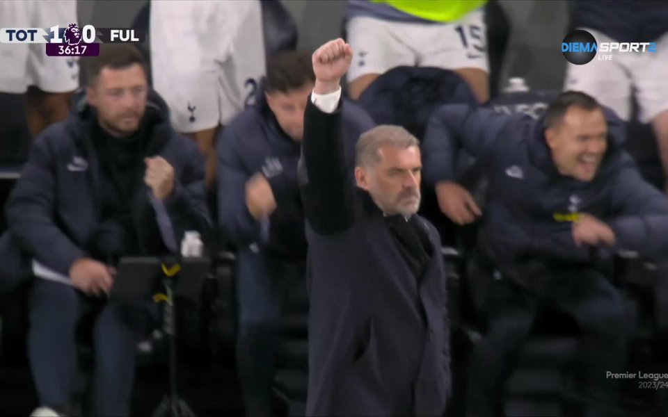 Отборът на Тотнъм поведе на Фулъм с попадение на Хюн