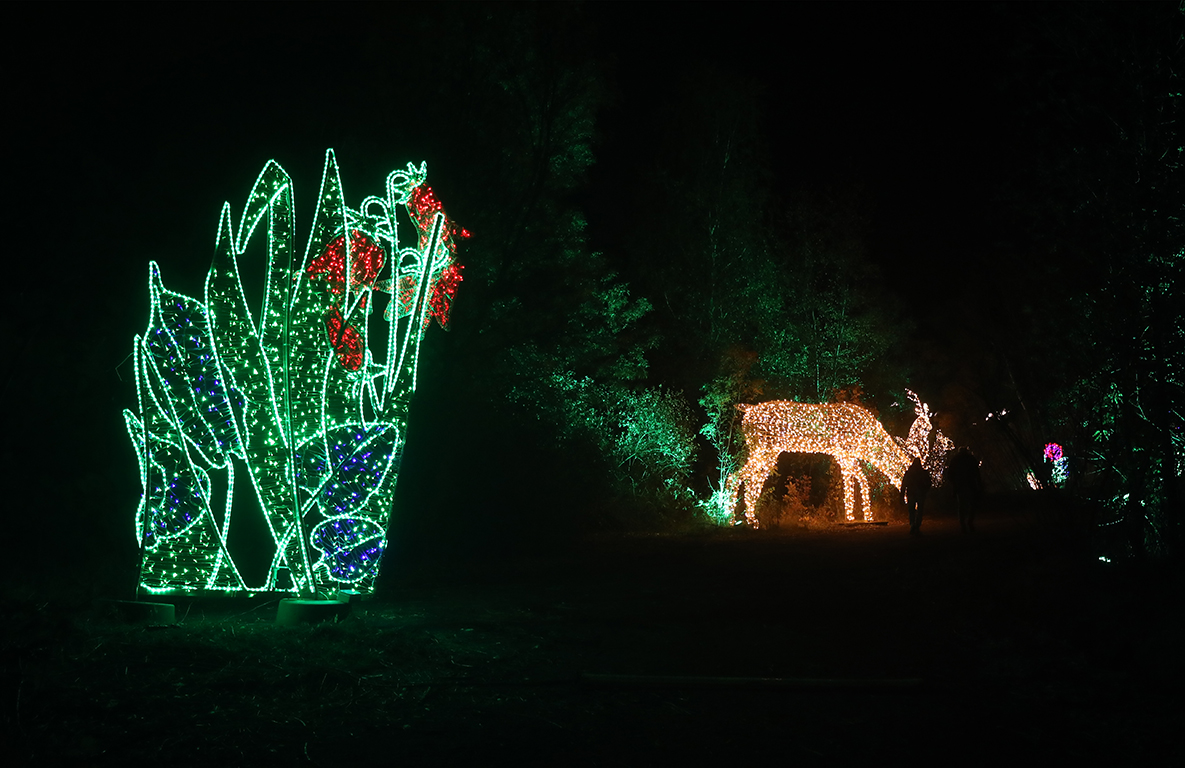 <p>Вълшебната градина Lumina Park</p>