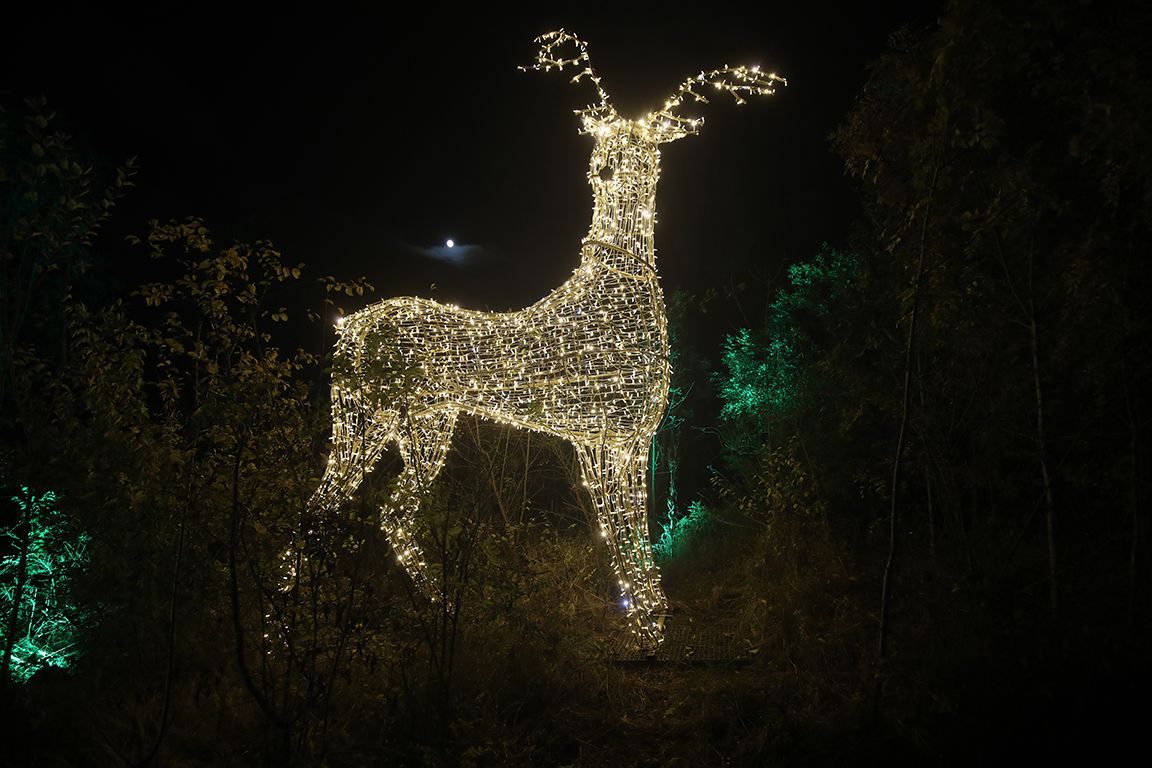 <p>Вълшебната градина Lumina Park</p>