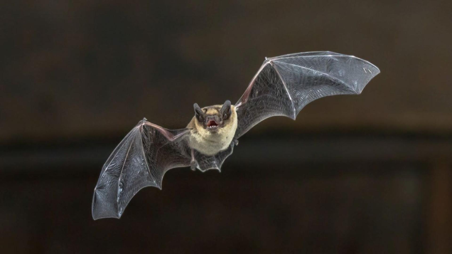 Мъж се намира в критично състояние след като се е