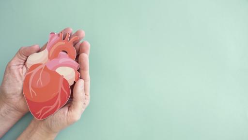 Всеки втори българин е с нелекувано или неконтролирано високо кръвно налягане