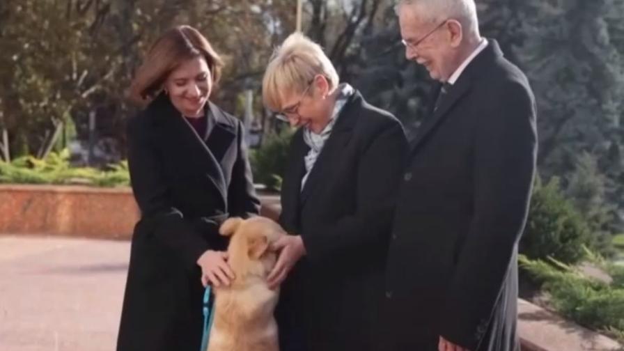 Кучето на молдовския президент ухапа по ръката австрийския държавен глава (ВИДЕО)