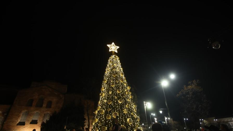 Коледната елха пред „Св. Александър Невски“