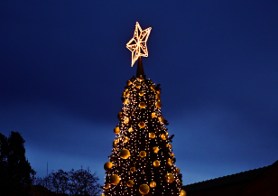 Коледното дърво на София грейна пред „Св. Александър Невски“