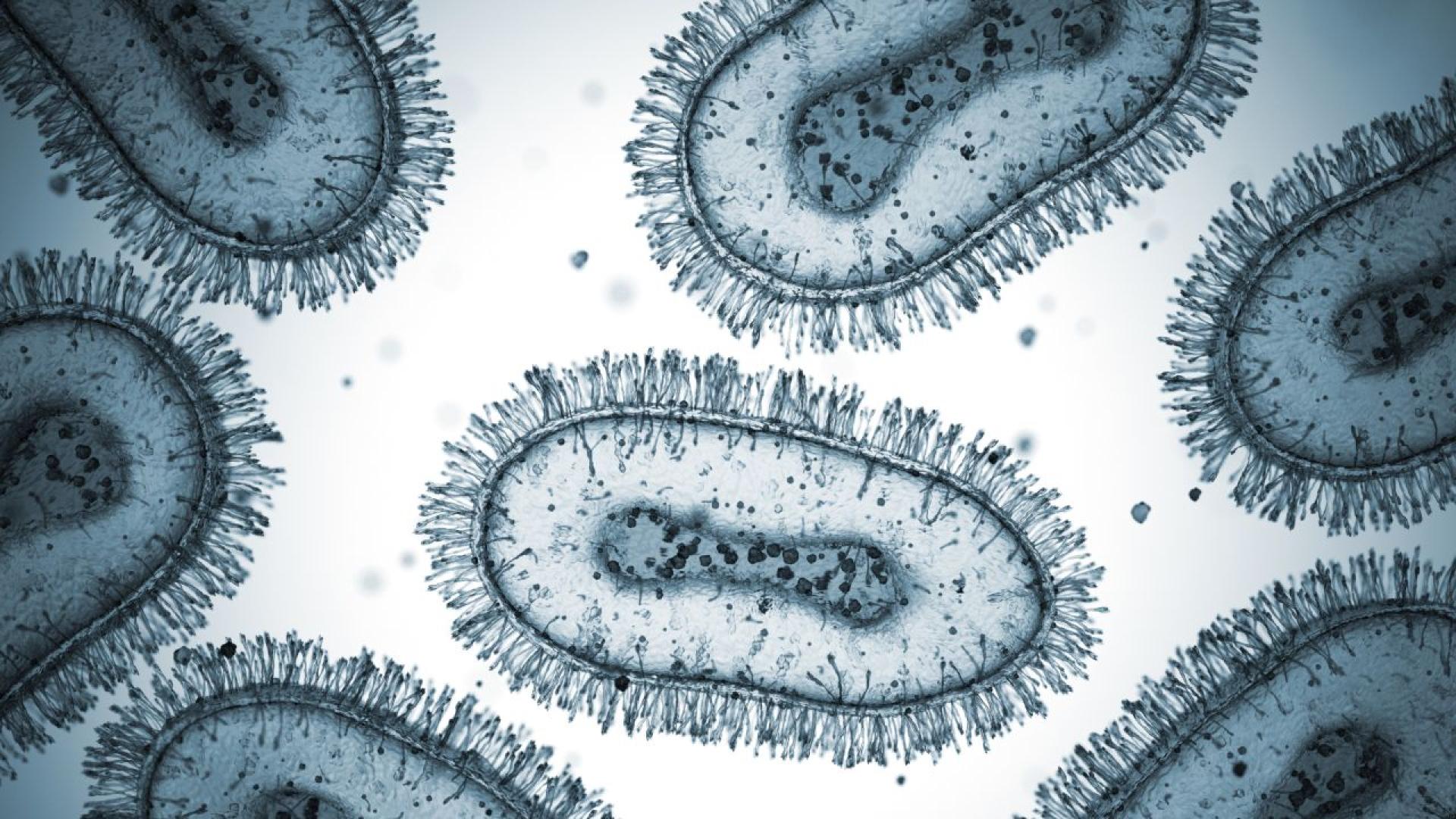Нивата на инфекции причинени от кошмарни бактерии устойчиви на антибиотици