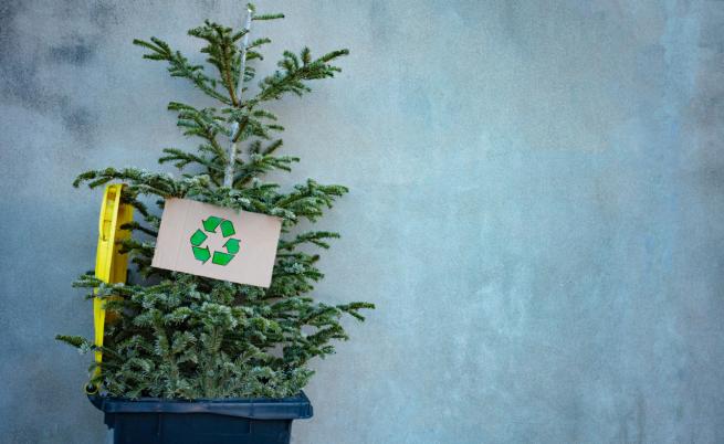 Елхи за смет: Рециклираща компания в САЩ подарява коледни дръвчета
