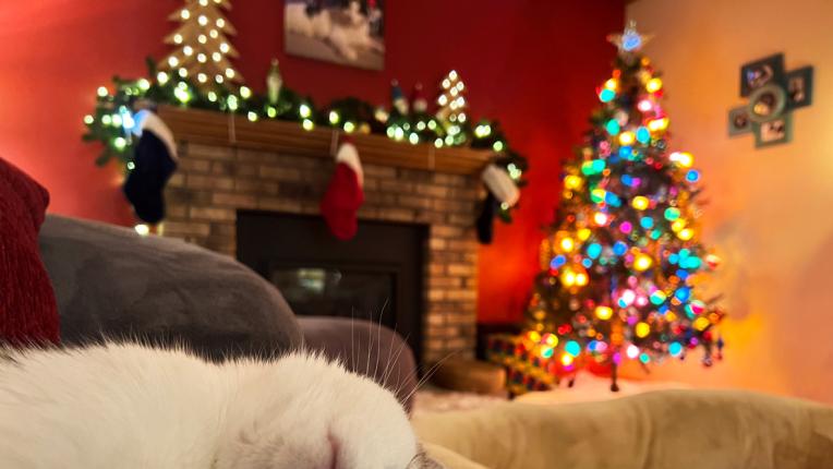  Дневен хороскоп за вторник, 26 декември 