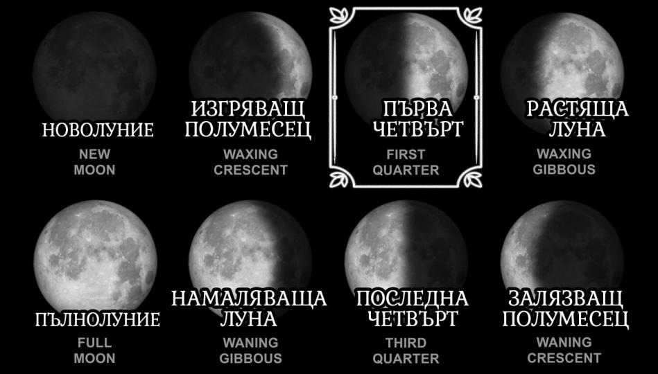 <p><strong>Първа четвърт (First Quarter Moon)</strong><br />
Тази фаза е критична в лунния цикъл, следователно с нея са свързани някои опасения и енергия на напрежение. Вие сте неспокоен, поемащ рискове, страстен и любознателен човек. Интелектът и интуицията са еднакво важни за вас. Обичате да приемате предизвикателства и да поставяте под въпрос статуквото. Проявявате интерес към всичко, което ви попадне, активни сте и комуникативни. Недостатъкът на това е, че ви възприемат като спорещ и труден човек. Въпреки това, когато използвате уменията си по балансиран начин, можете да откриете нови решения на всякакви проблеми. Действате добре под натиск и умеете да измисляте бързи решения по време на криза. 30-те и 40-те ви години са вашето време да блеснете! Ще постигнете някои от най-хубавите неща именно през тази фаза от живота си.</p>