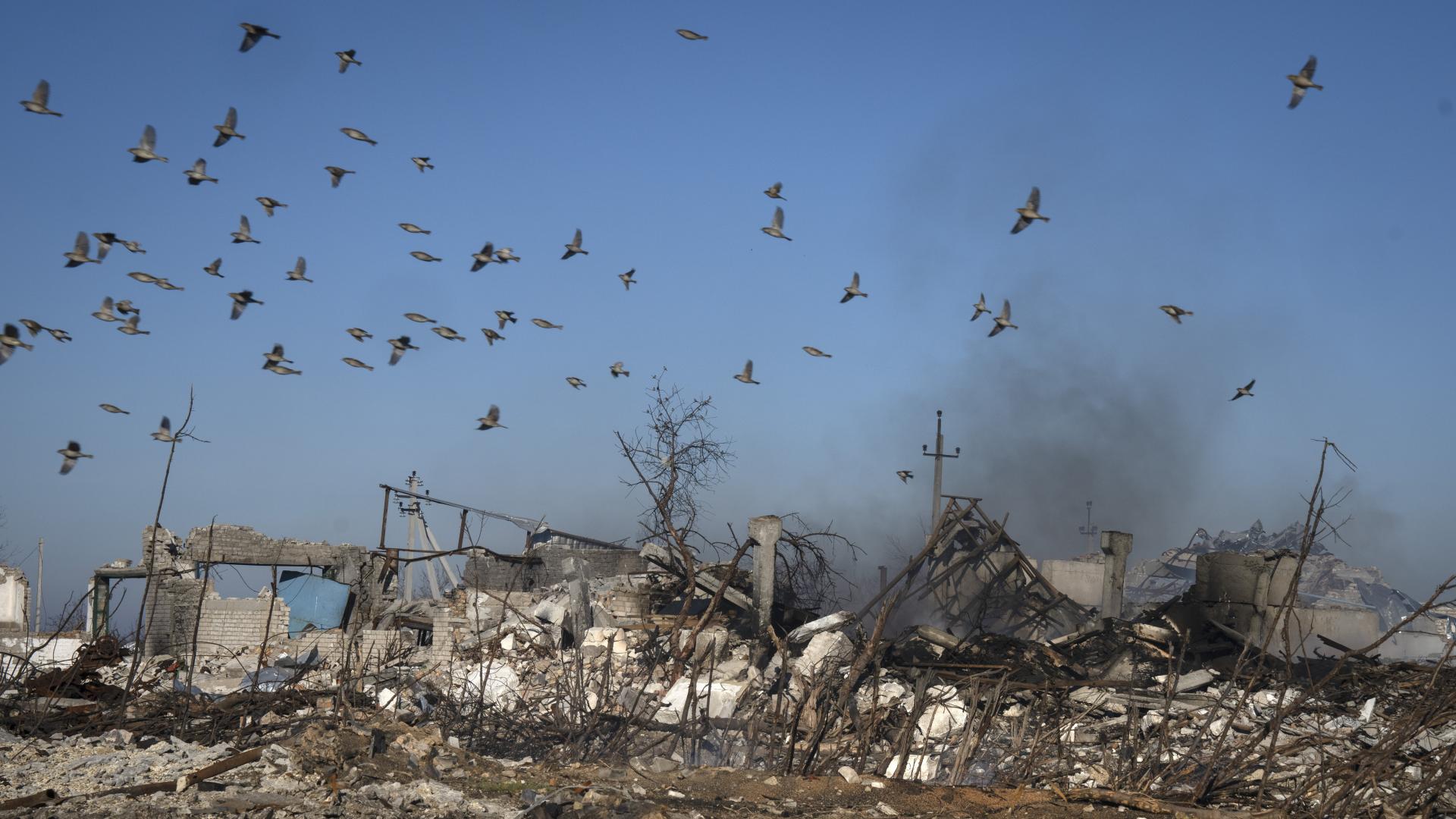 Повече от 20 украински граждани бяха убити при руска въздушна