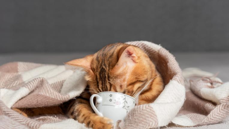  Седмичен хороскоп за 15-21 януари 