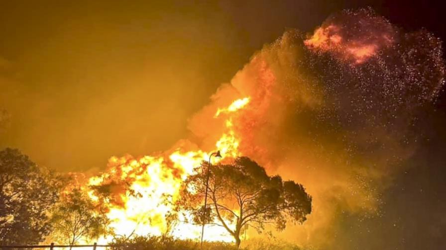 <p>Огнен апокалипсис: Горски пожар в Австралия излезе извън контрол</p>