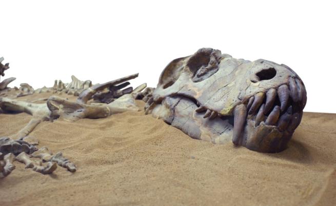 На 90 милиона години: Открит е нов вид динозавър в Китай