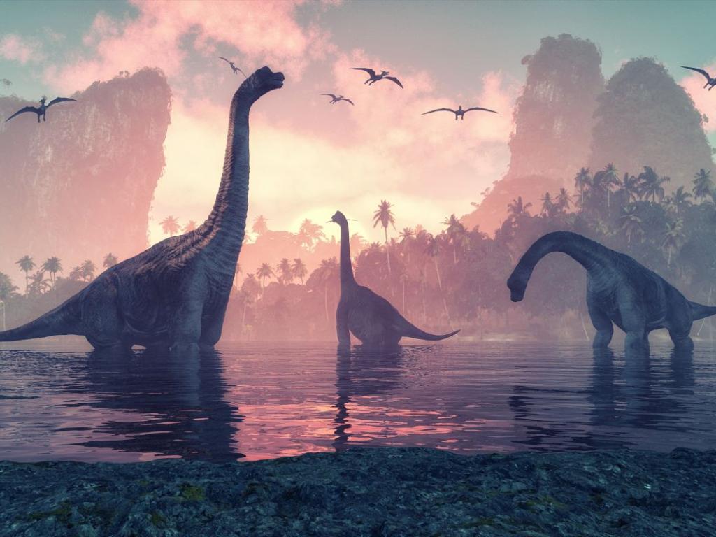 Dinosaures : rapides et dynamiques depuis 160 millions d'années – Étrange