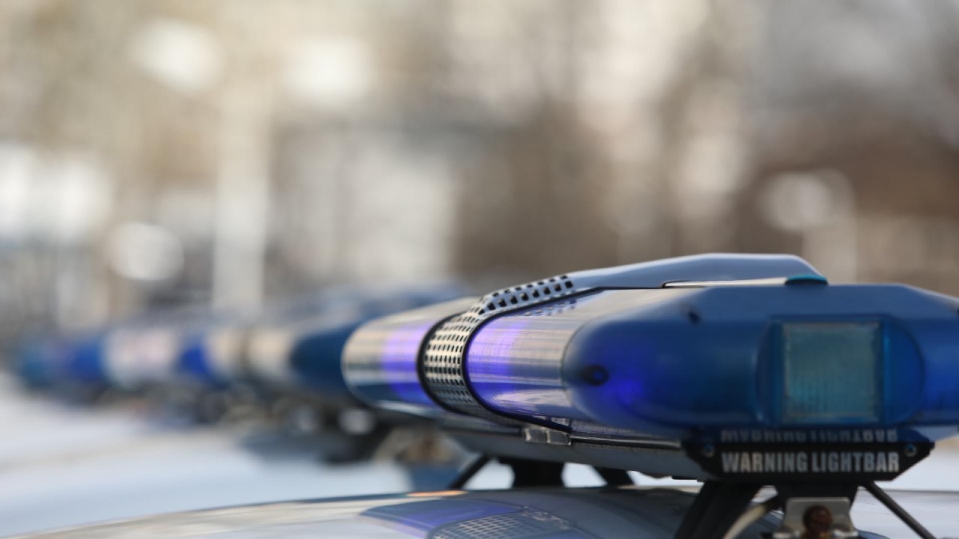 Масиран обход в района на язовир Мандра предприеха днес служители