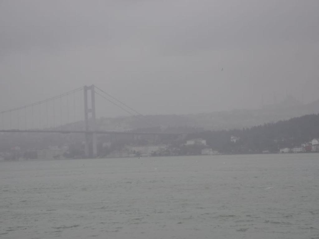 Движението на кораби през истанбулския пролив Босфор временно е преустановено