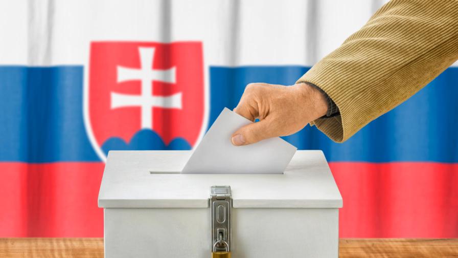 Словакия гласува днес за президент