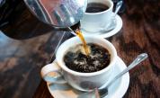 Ще изчезне ли кафето заради глобалното затопляне?