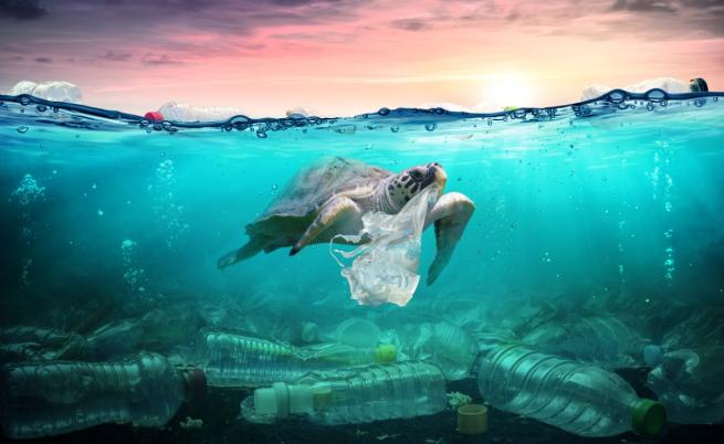 Ужасяваща реалност: До 11 млн. тона пластмасови отпадъци има на океанското дъно