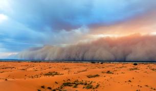 Учени: Сахара е била зелена и дъждовна допреди поне 8000 години