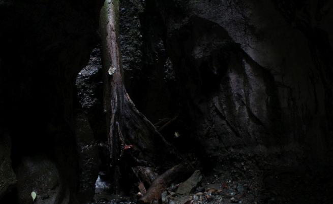  Пещерата на гибелта 