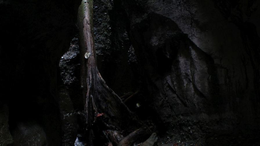 Пещерата на смъртта
