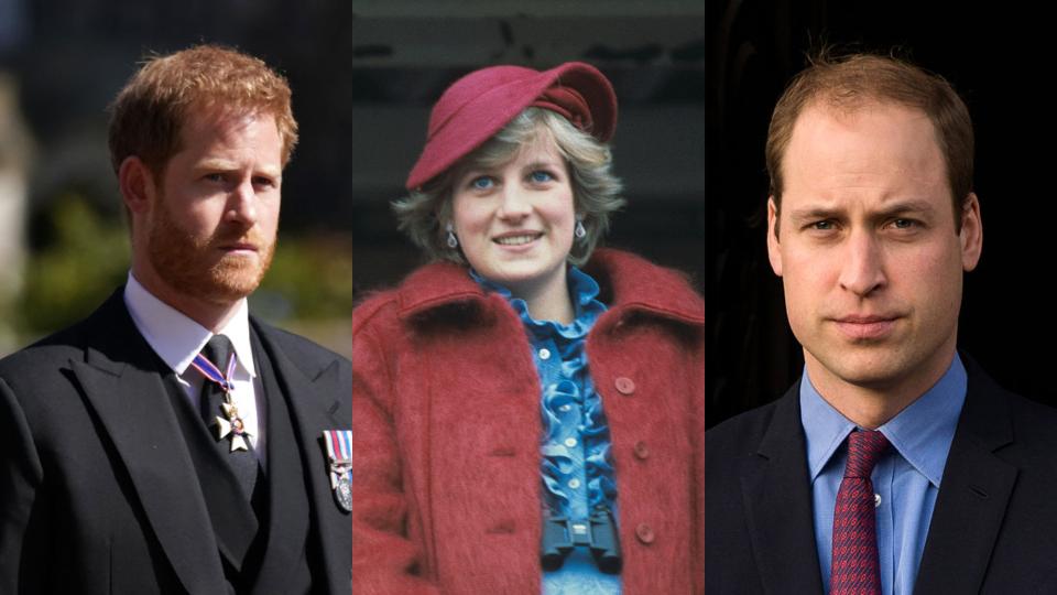  даяна хари уилям 